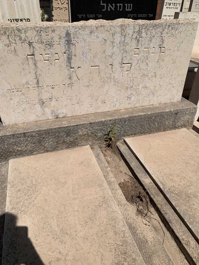 קברו של ינטה קורץ. תמונה 2