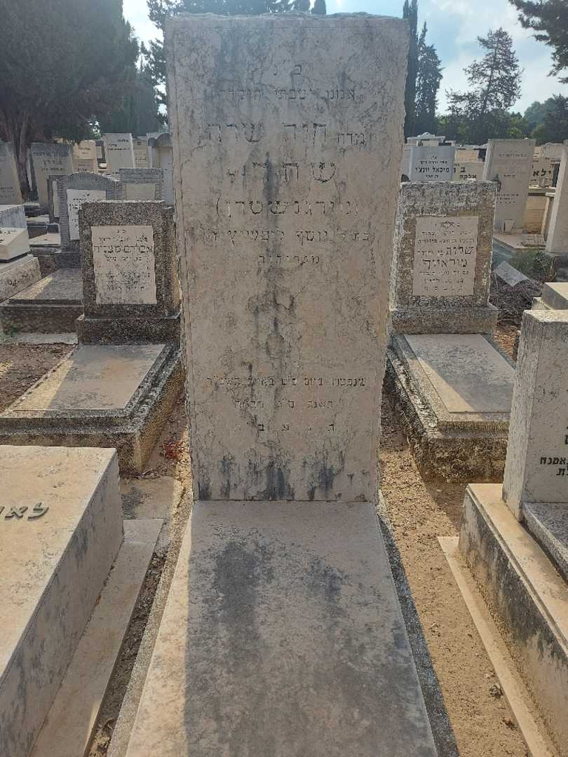 קברו של חיה שרה "מורגנשטרן" שחר