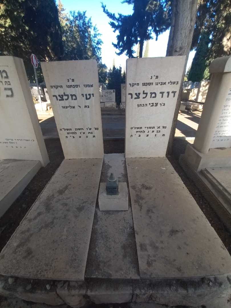 קברו של דוד מלצר. תמונה 2