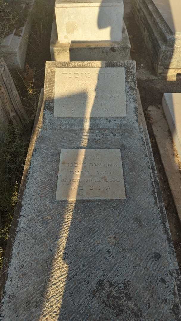 קברו של אנה מילנר. תמונה 1