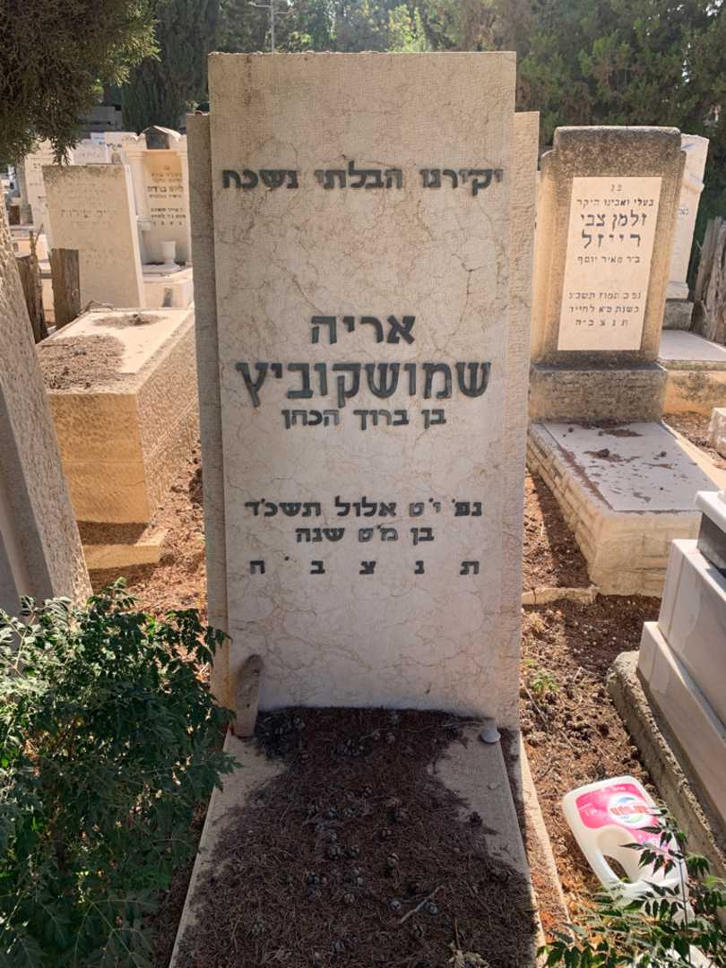 קברו של אריה שמושקוביץ