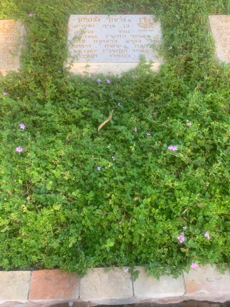 קברו של גדעון גבוביץ