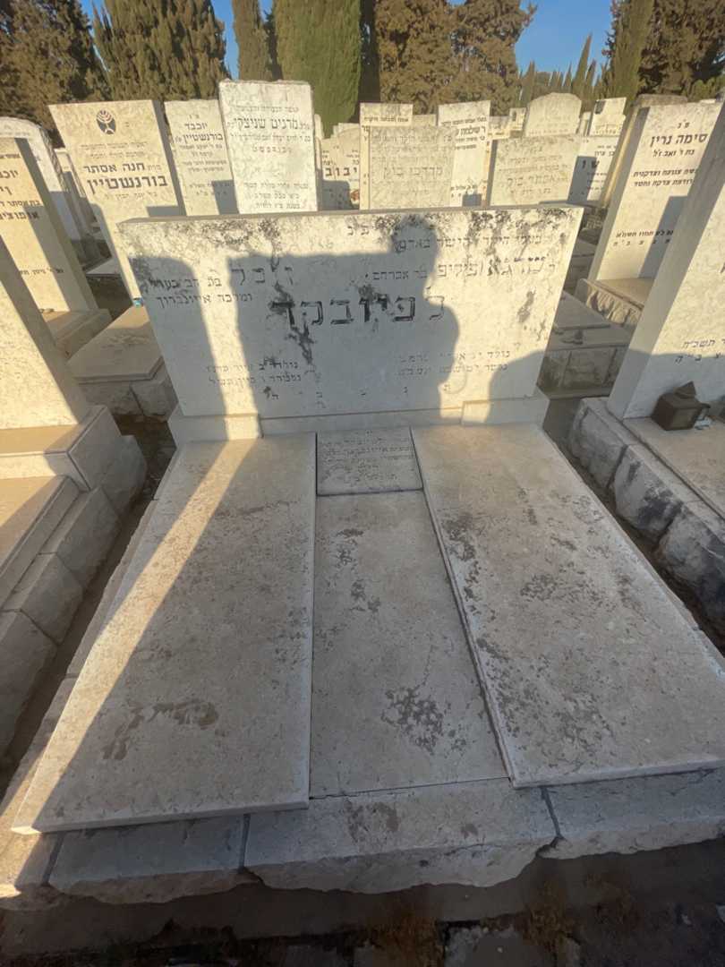 קברו של זיסל לפיובקד. תמונה 1