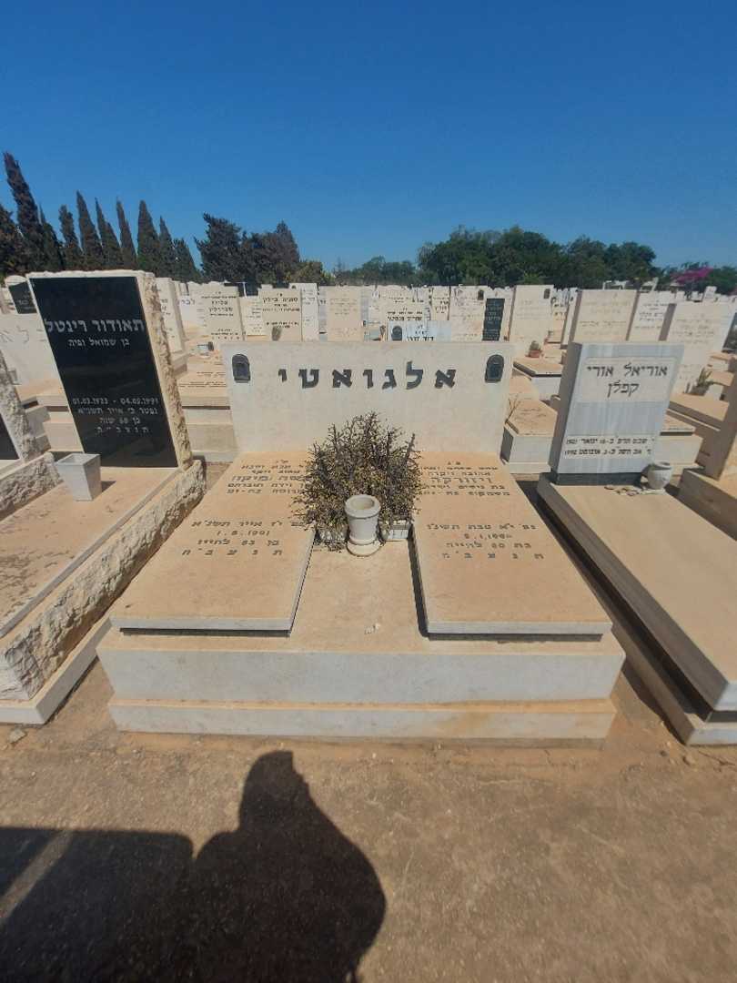 קברו של ויזורקה אלגואטי. תמונה 2