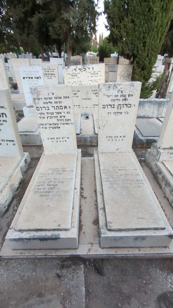קברו של אסתר גרוס. תמונה 2