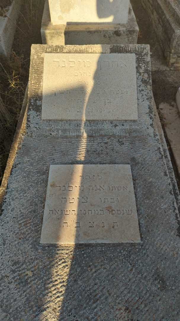 קברו של אנה מילנר. תמונה 2