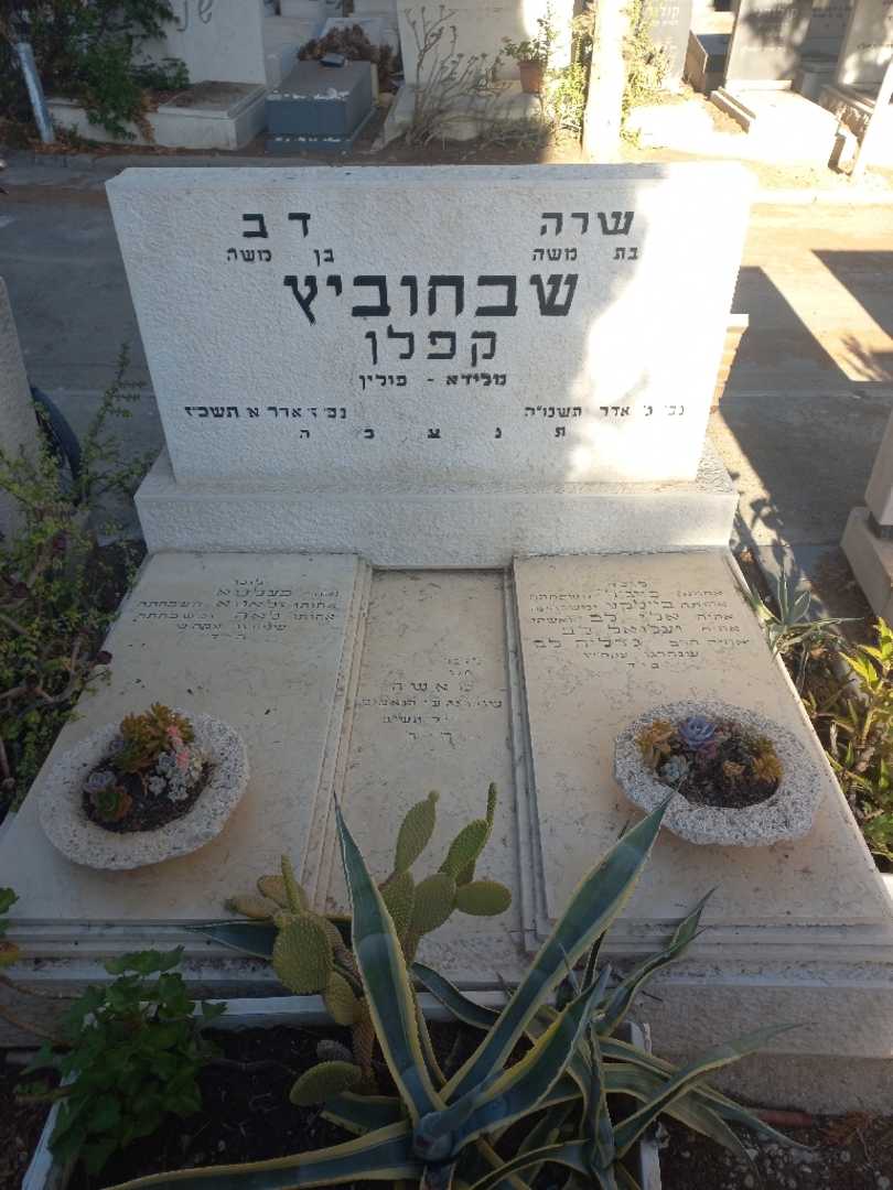 קברו של שרה "קפלן" שבחוביץ. תמונה 2