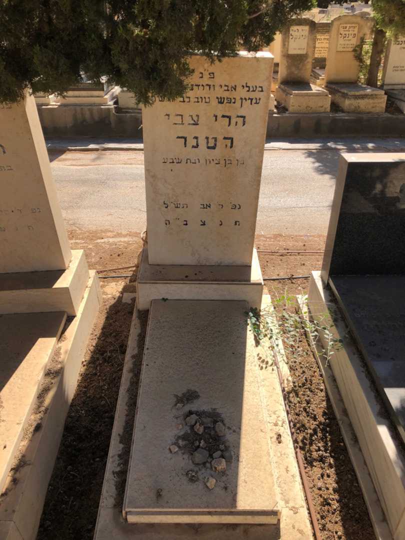 קברו של הרי צבי רטנר. תמונה 2