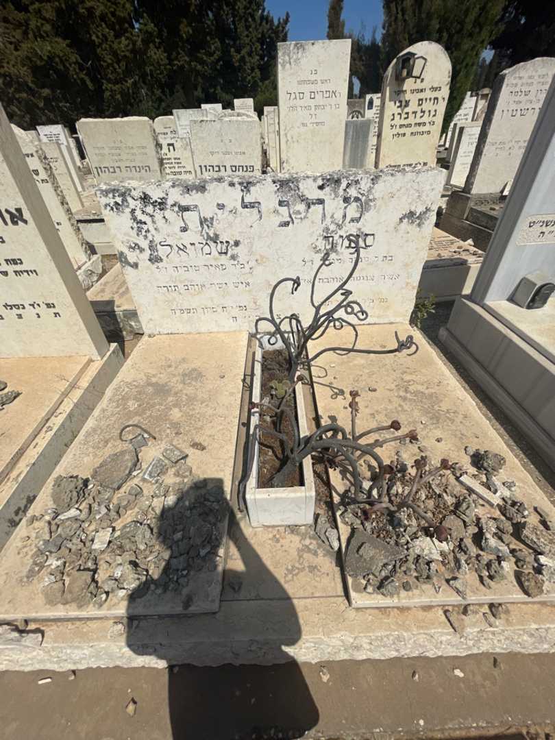 קברו של שמואל מרגלית. תמונה 1