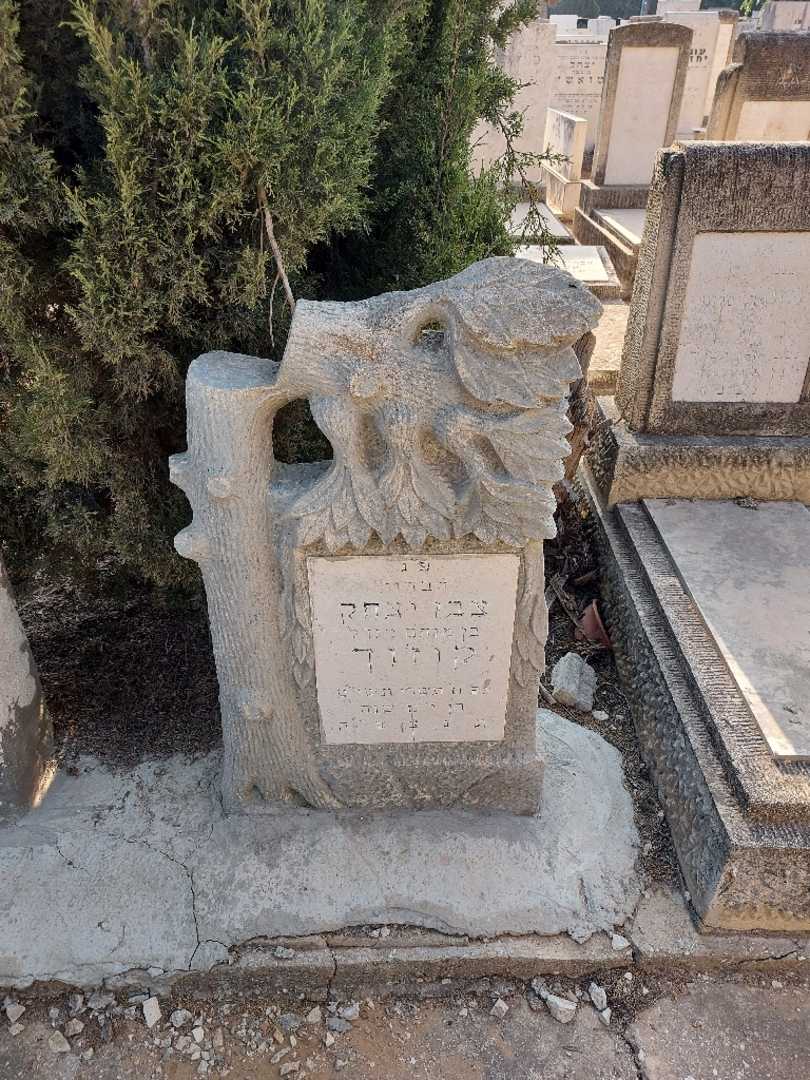 קברו של צבי יצחק קוז'וך