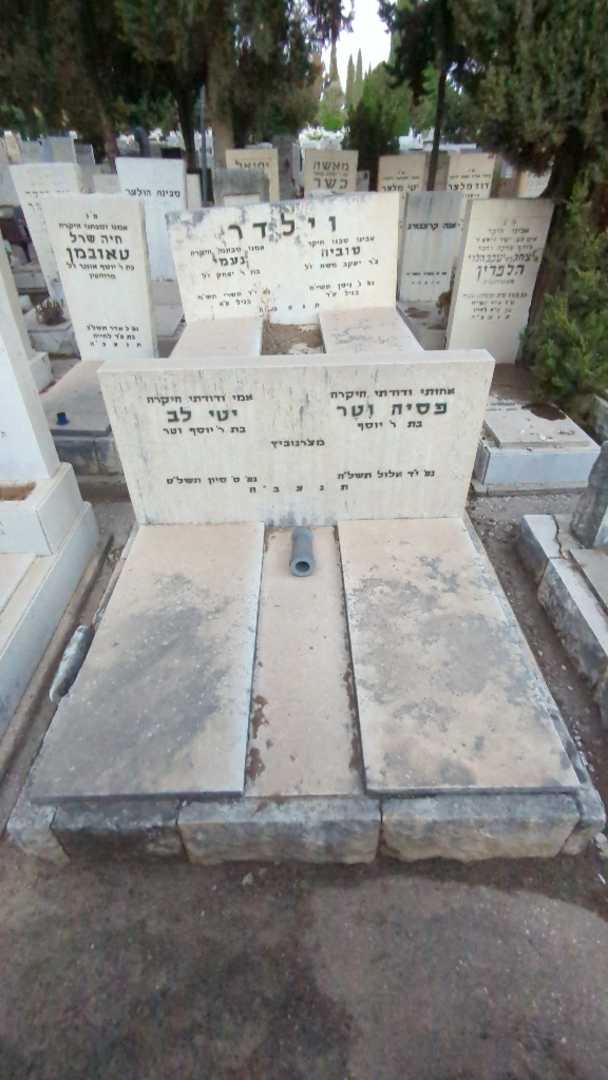 קברו של פסיה וטר. תמונה 2