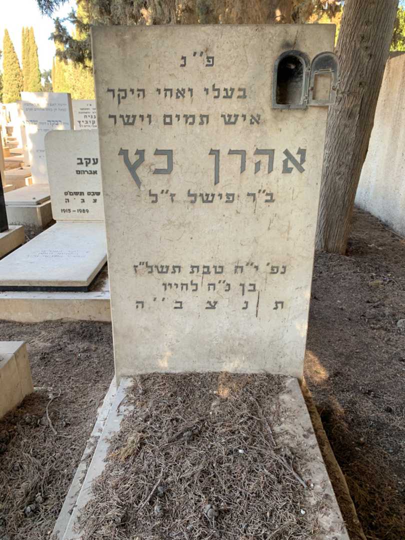 קברו של אהרן כץ