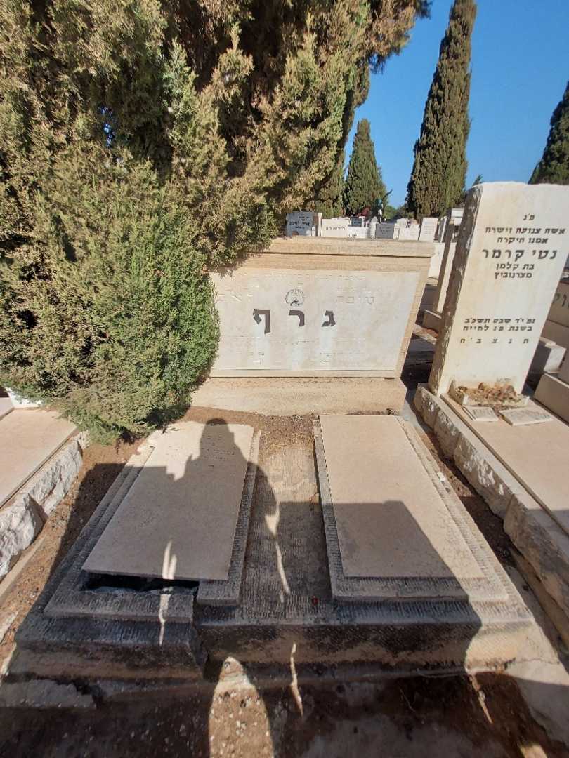 קברו של טובה גרף. תמונה 1