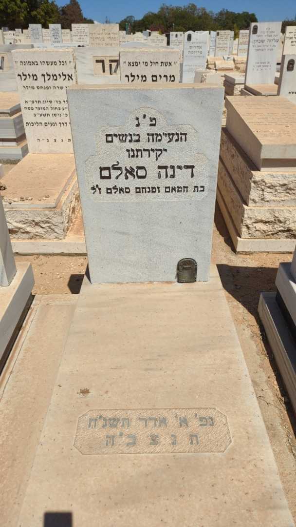 קברו של דינה סאלם. תמונה 1