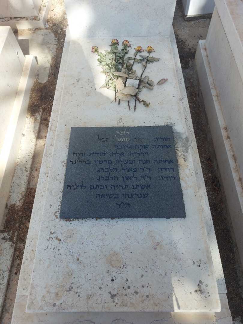 קברו של ליאון הלברג. תמונה 2