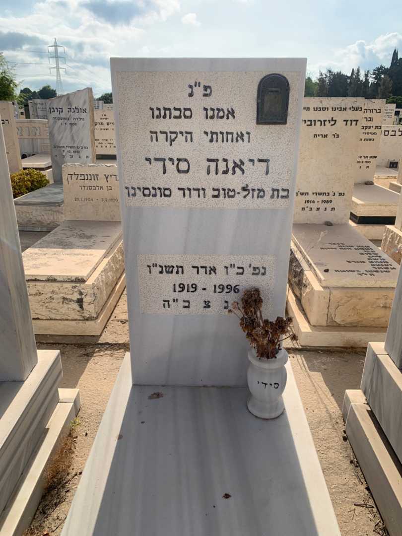 קברו של דיאנה סידי