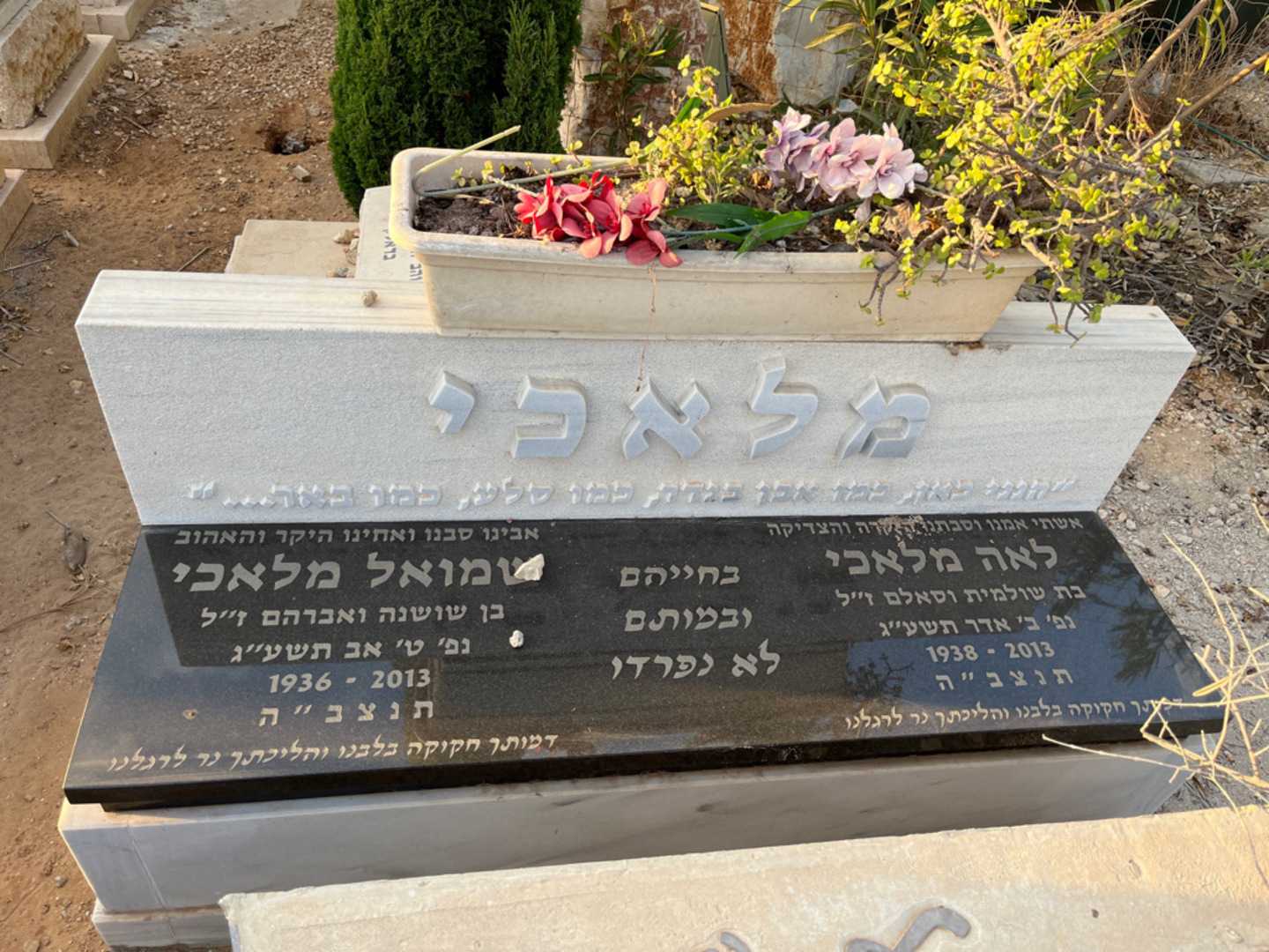 קברו של שמואל מלאכי