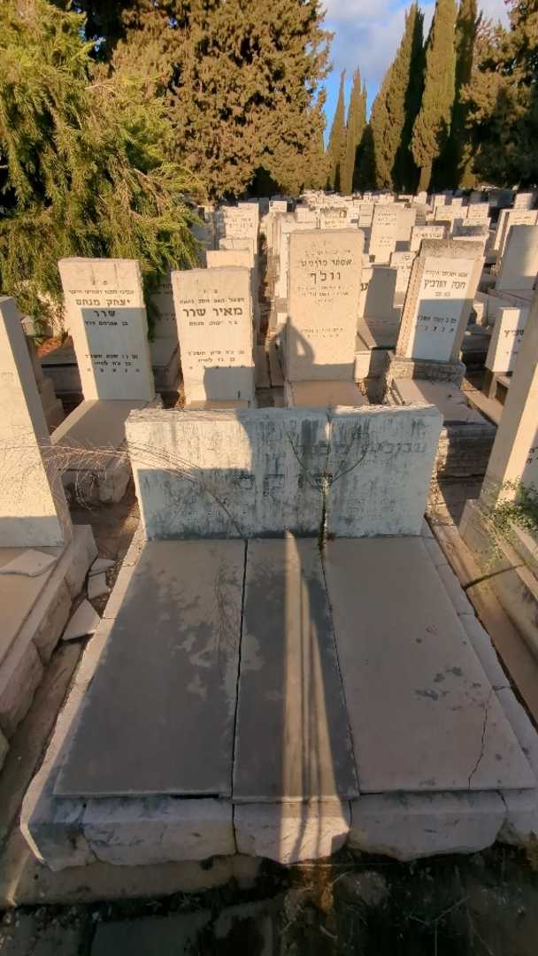 קברו של דוד פוקס. תמונה 2