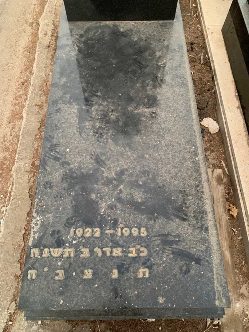 קברו של אשר סילפן. תמונה 2