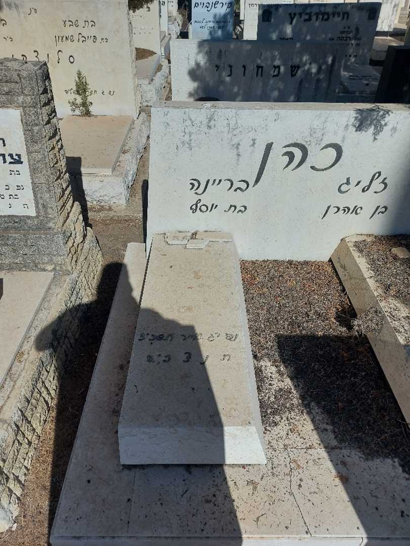 קברו של בריינה כהן. תמונה 2