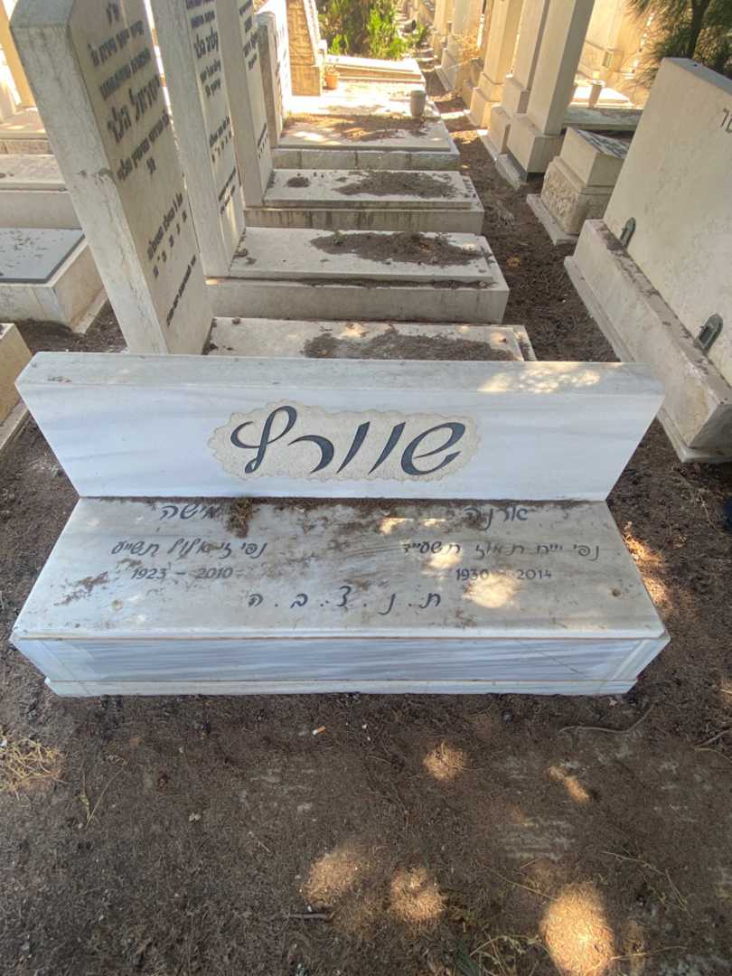 קברו של מישה שוורץ
