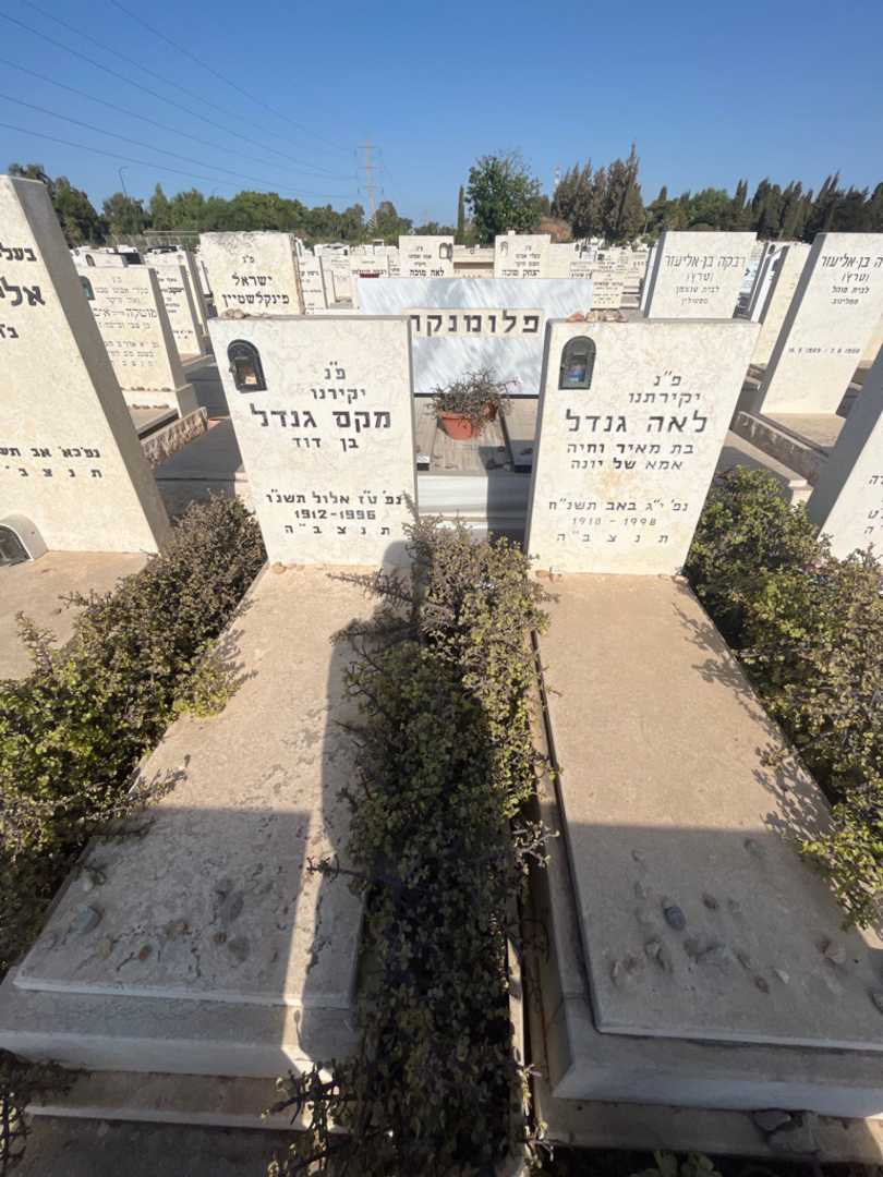 קברו של לאה גנדל. תמונה 1