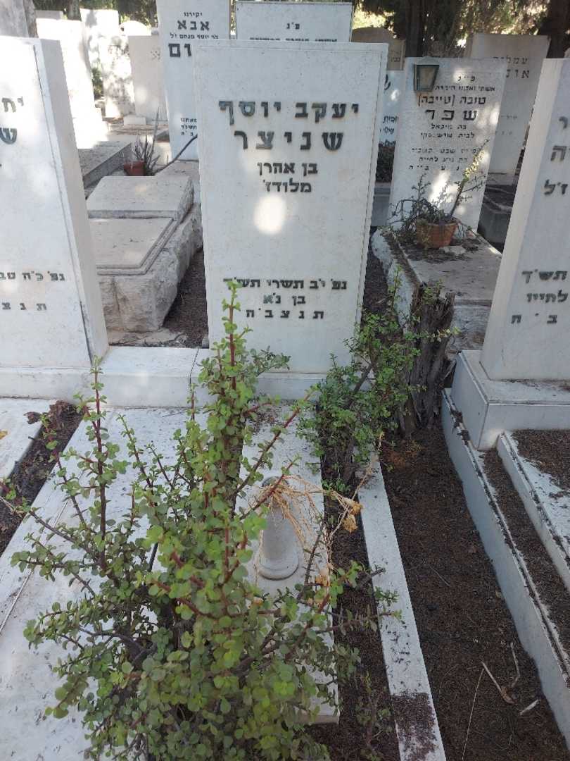 קברו של יעקב יוסף שניצר. תמונה 1
