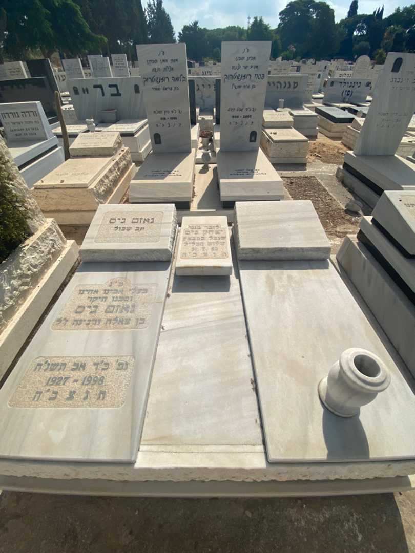 קברו של נאזם גיס. תמונה 1
