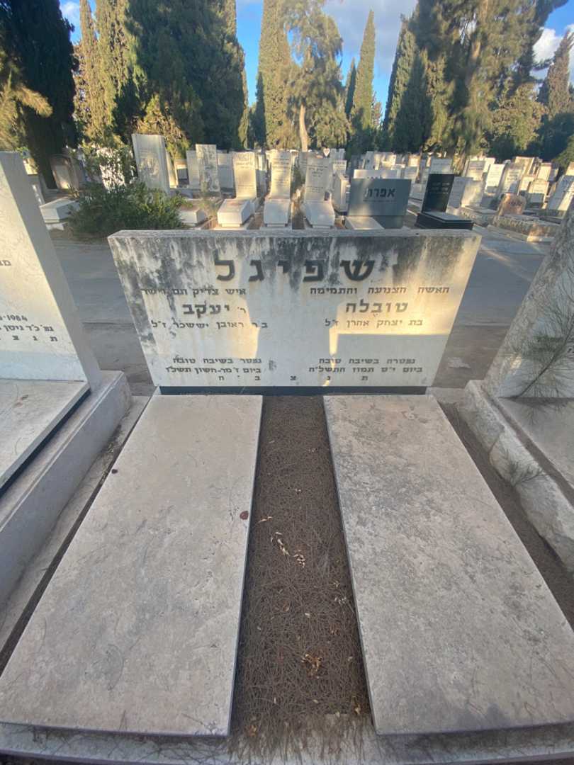 קברו של טובלה שפיגל. תמונה 1