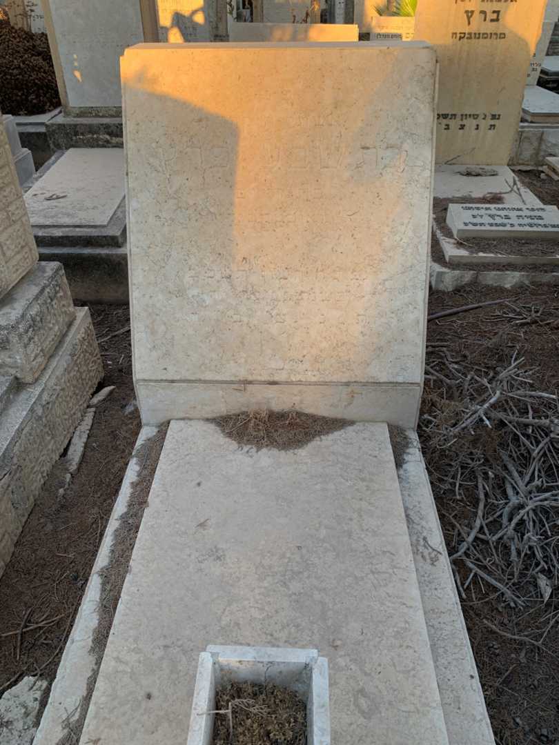 קברו של בת שבע פרץ. תמונה 1