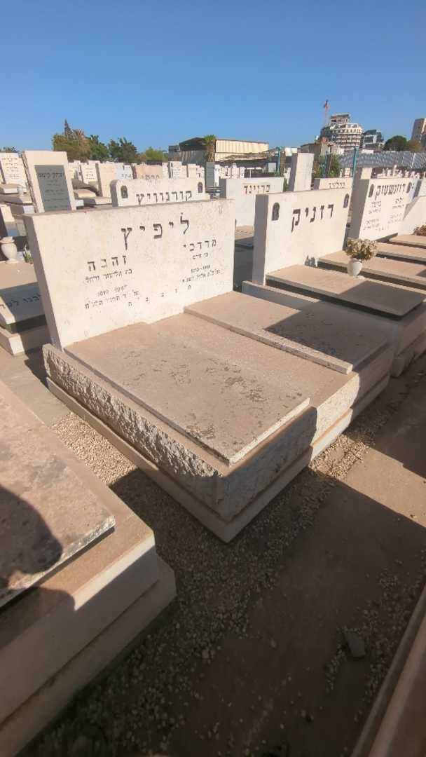 קברו של מרדכי ליפיץ. תמונה 2