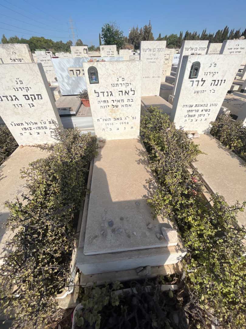 קברו של לאה גנדל. תמונה 2
