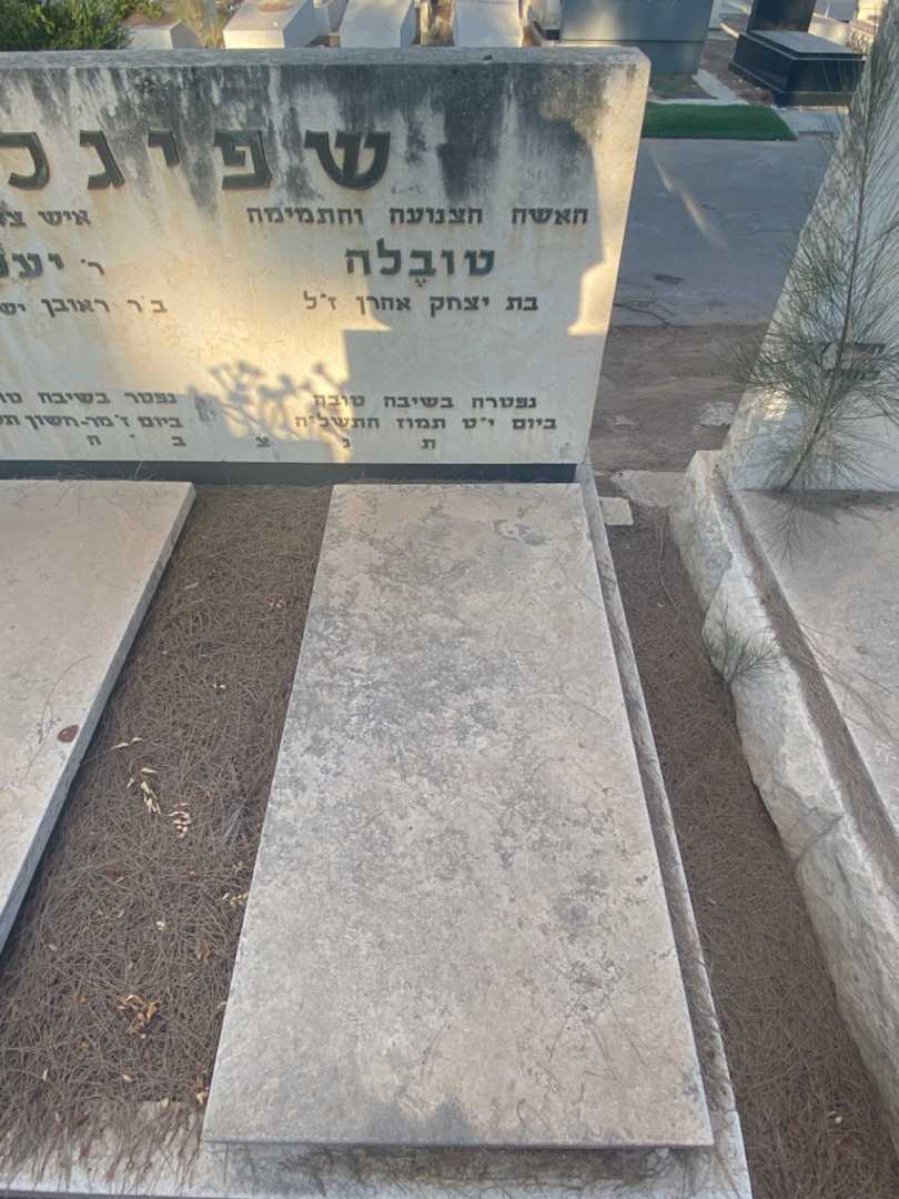 קברו של טובלה שפיגל. תמונה 2