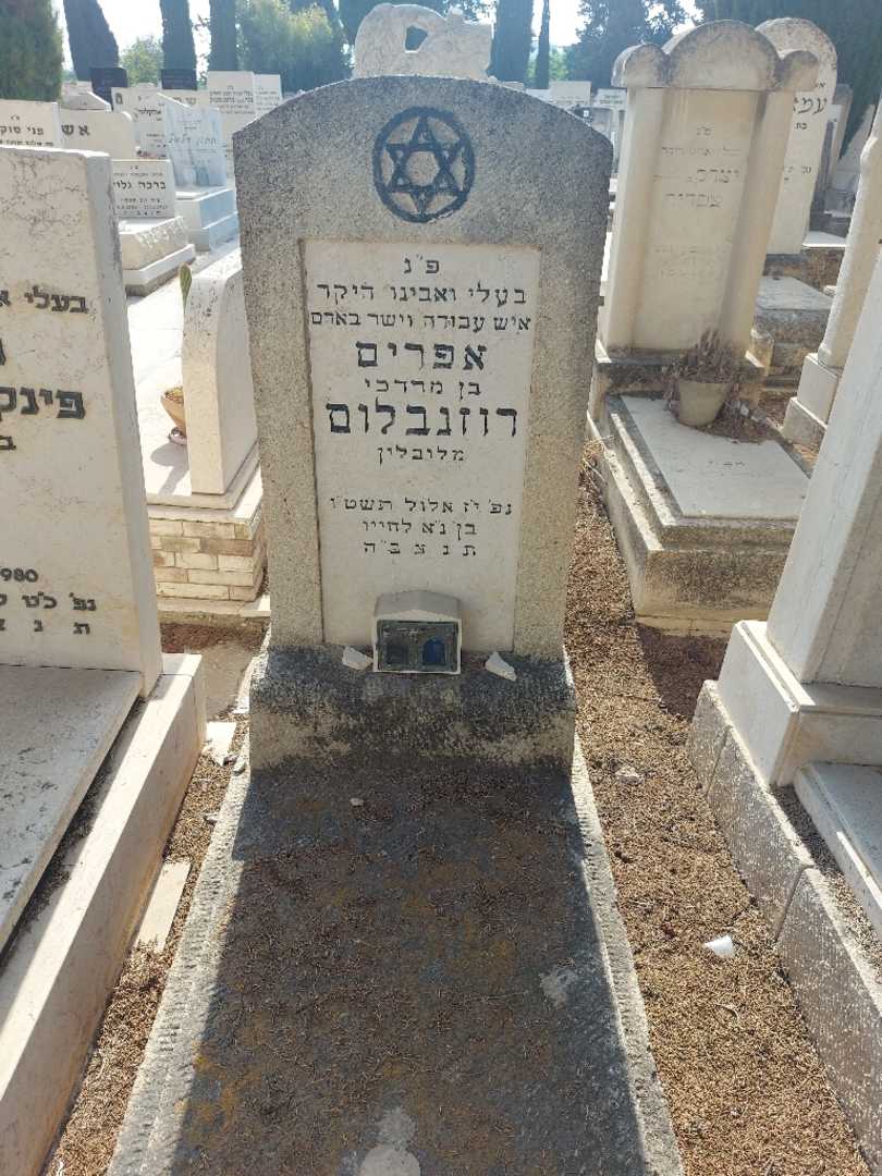 קברו של אפרים רוזנבלום