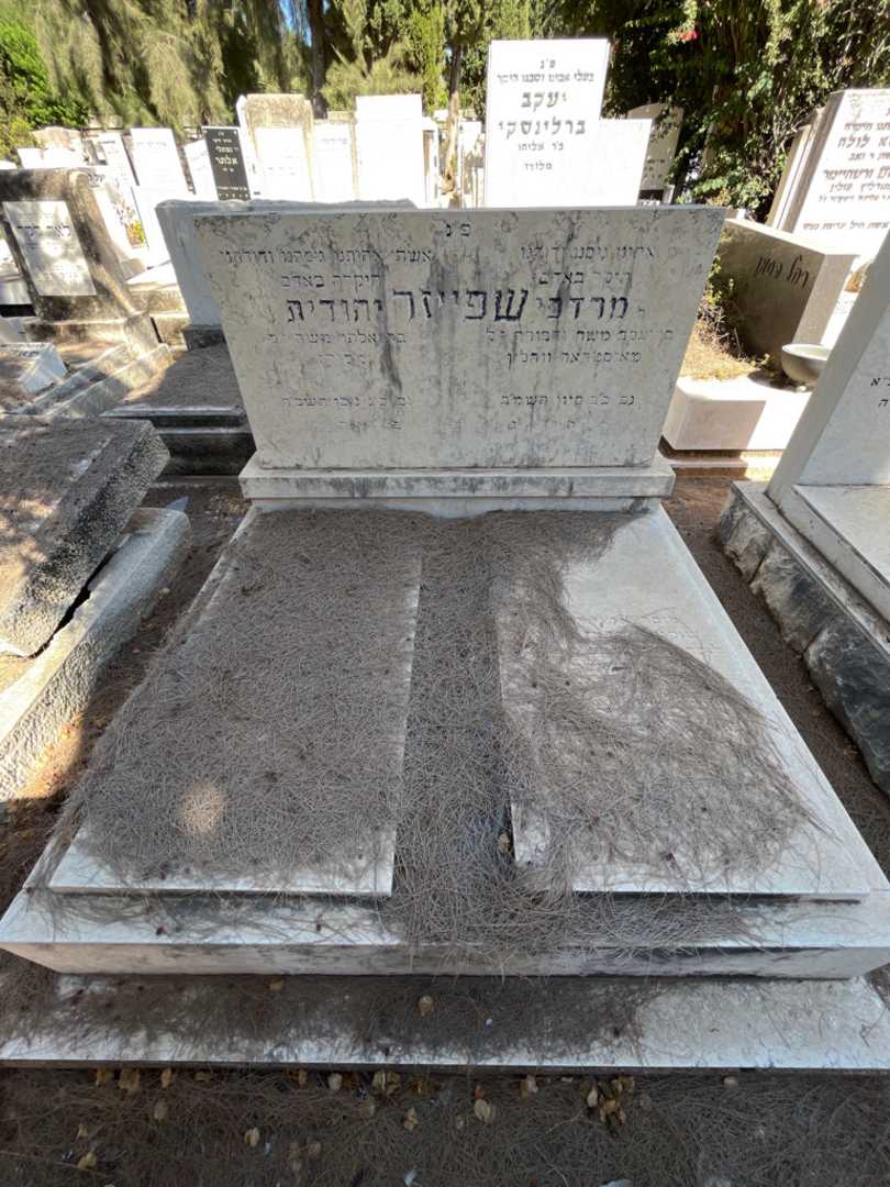 קברו של יהודית שפייזר. תמונה 1