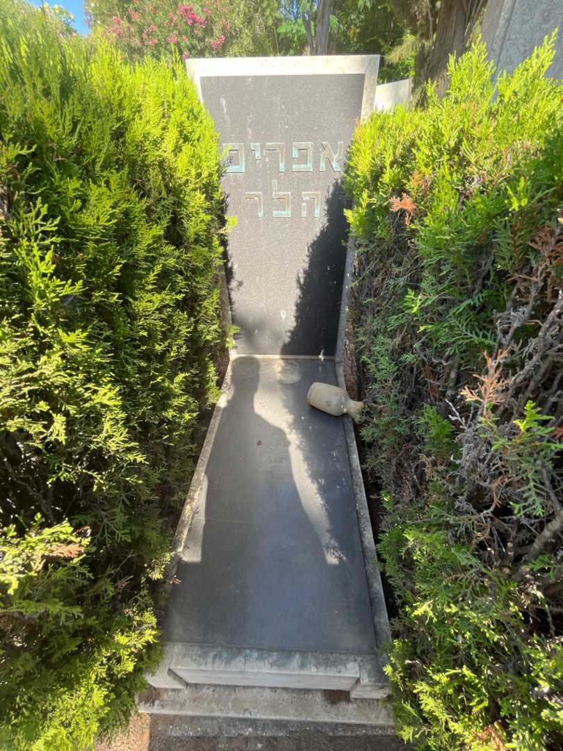 קברו של אפרים הלר