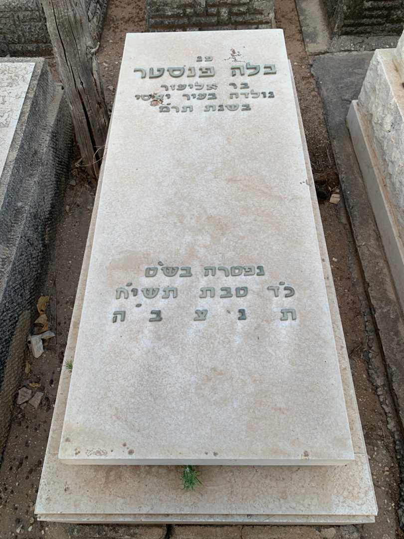 קברו של בלה פנסטר