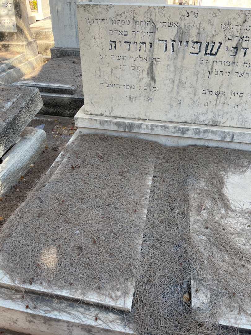 קברו של יהודית שפייזר. תמונה 2