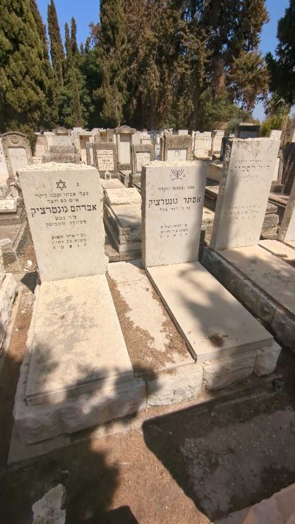 קברו של אברהם גונטרציק. תמונה 2
