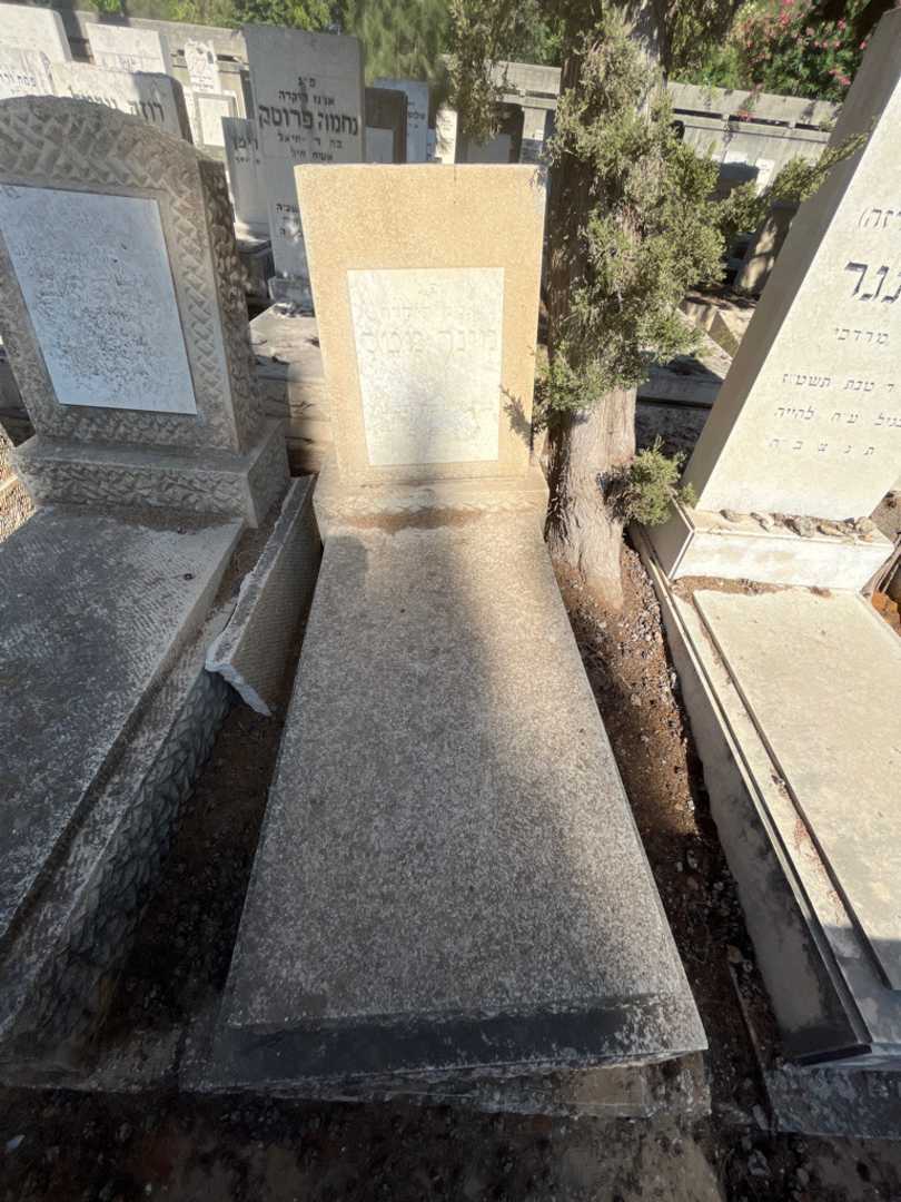 קברו של מינה מטס