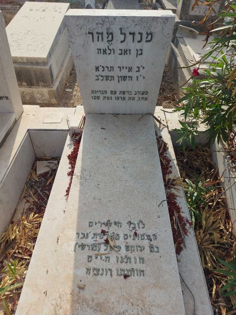 קברו של ירוחם "בורשי" פישל. תמונה 1