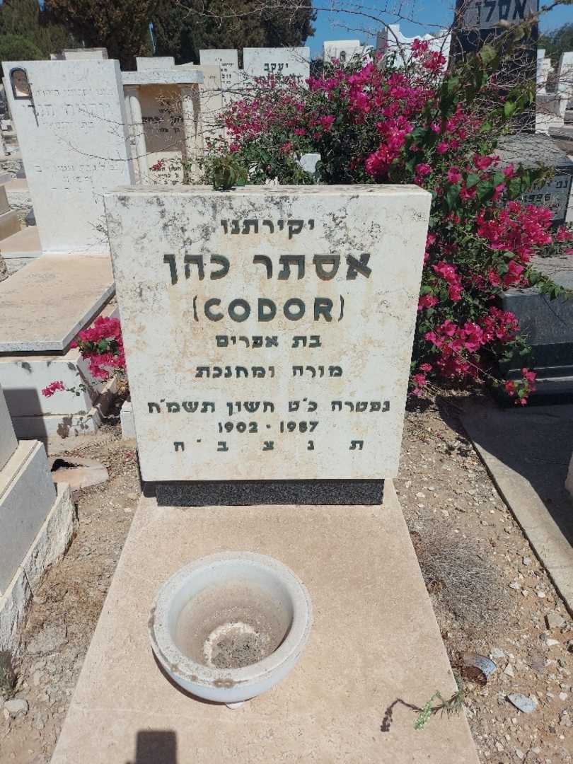 קברו של אסתר "Codor" כהן