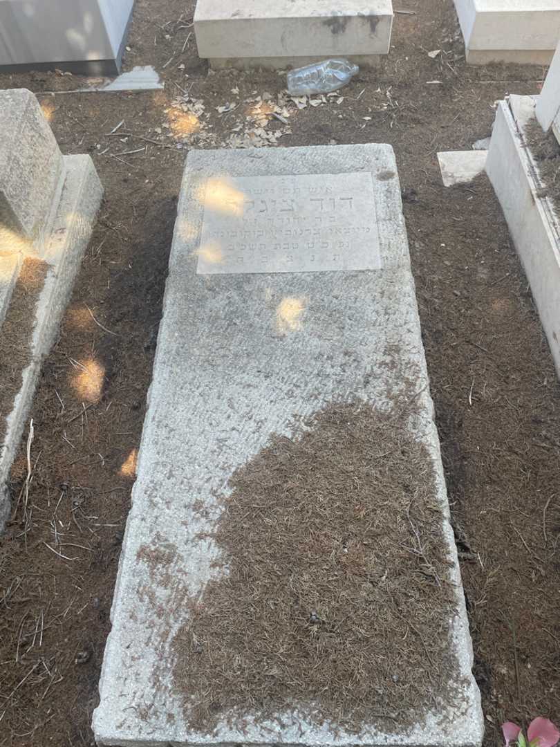 קברו של דוד ציגלר