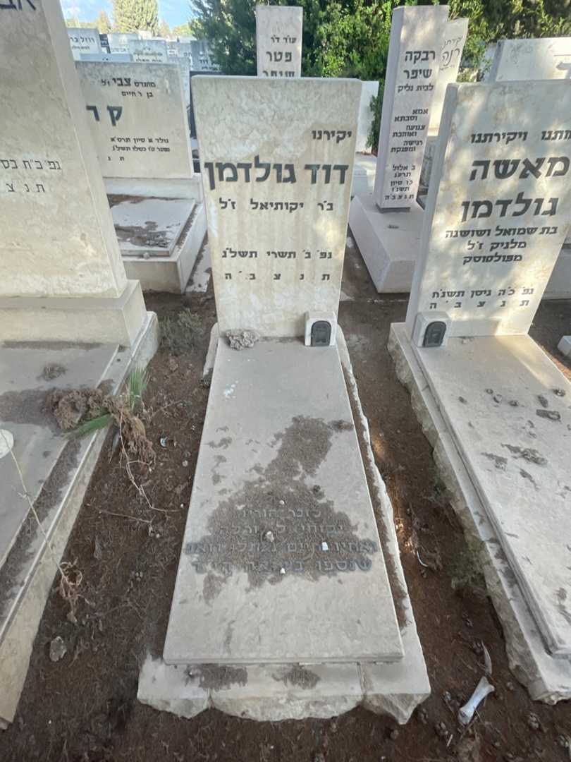 קברו של דוד גולדמן