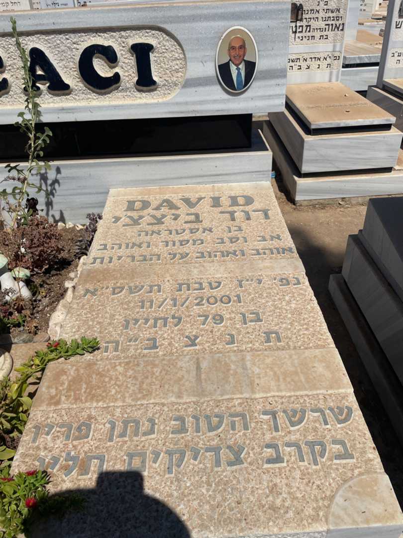 קברו של דוד ביצ'צ'י. תמונה 2