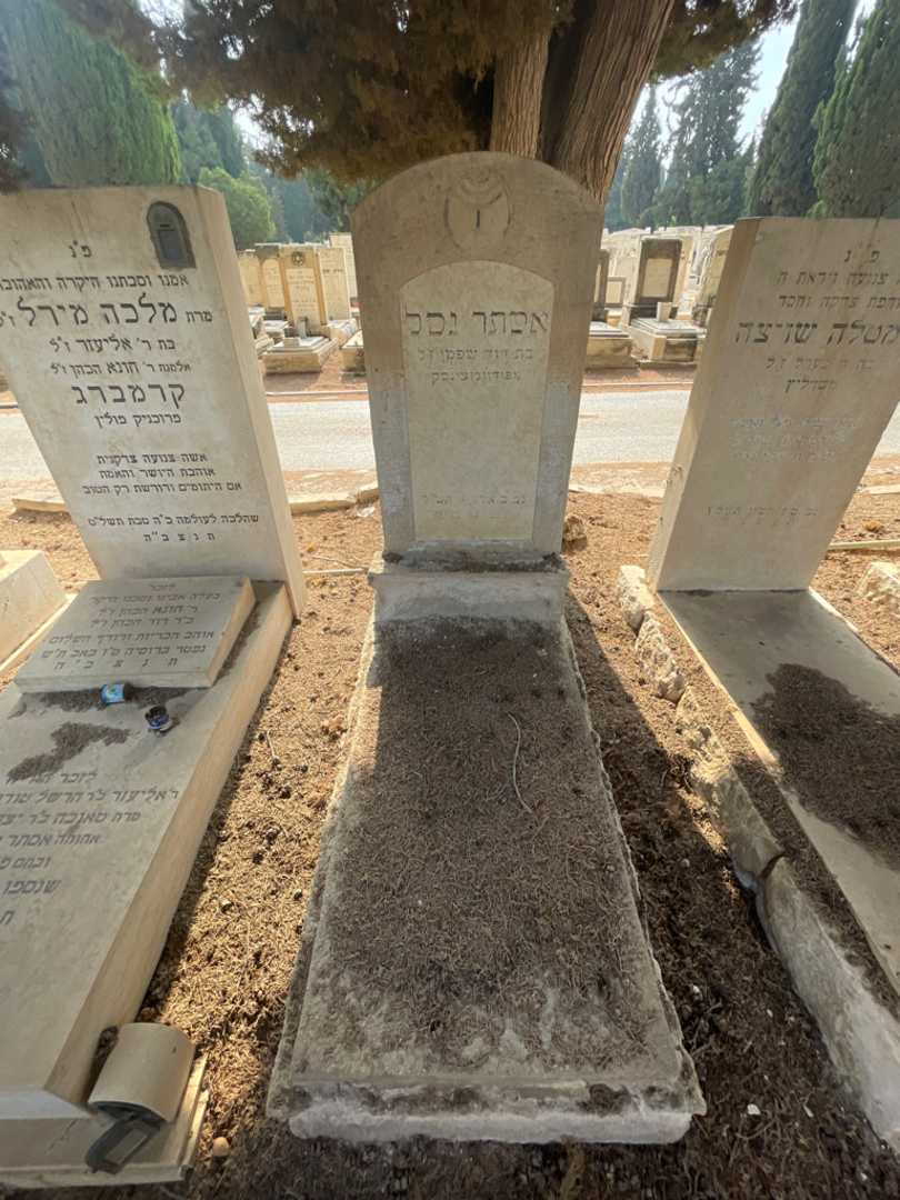 קברו של אסתר נסל
