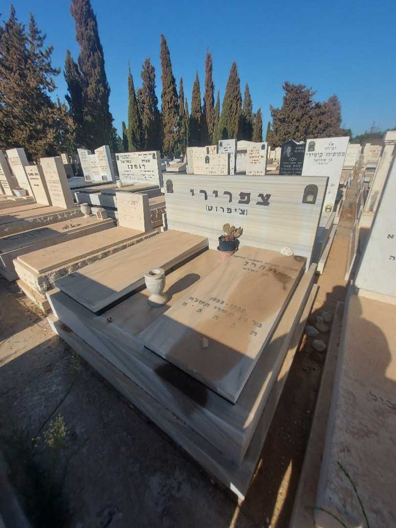 קברו של אהרן "צ׳יפרוט" צפרירי. תמונה 2