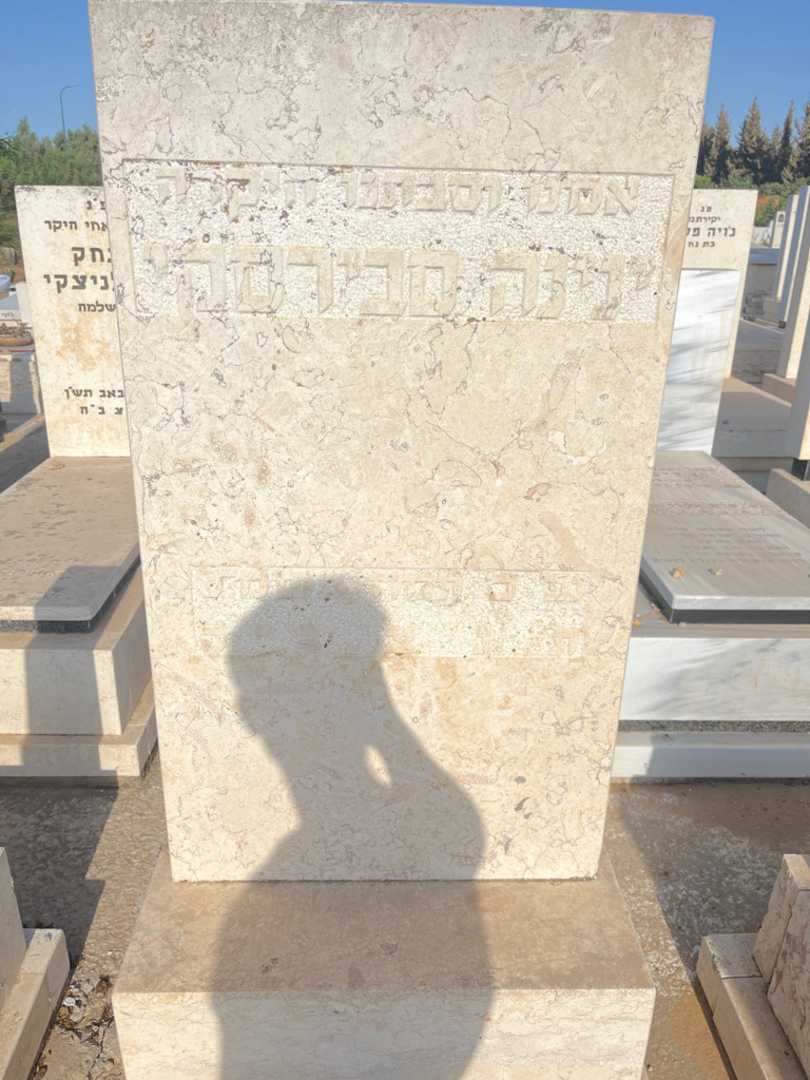 קברו של ינינה סבhרסקי. תמונה 2