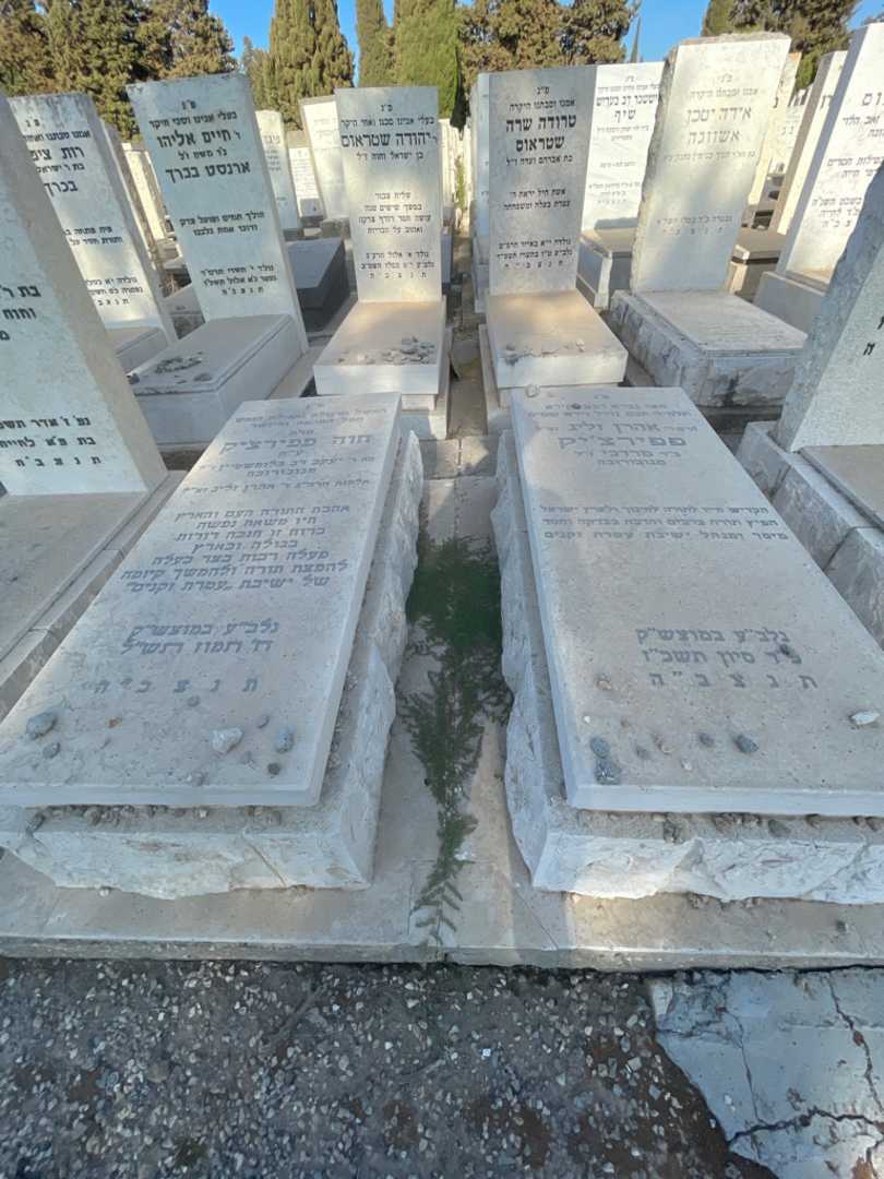 קברו של אהרן זליג פפירציק. תמונה 1