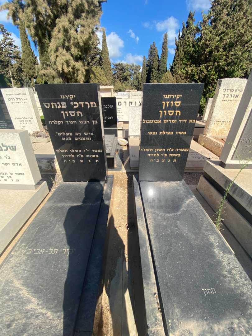 קברו של סוזן חסון. תמונה 2